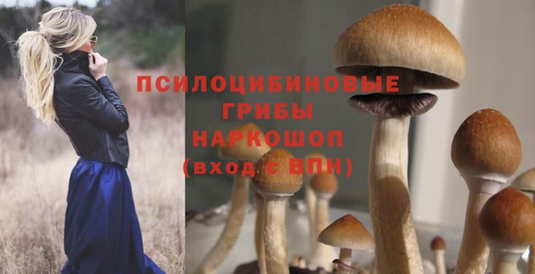 прущие крисы Абаза