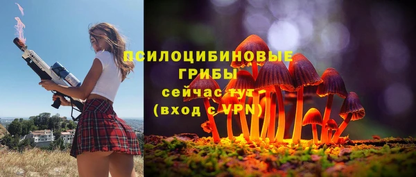 Альфа ПВП Алексин