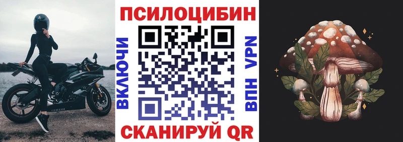 Псилоцибиновые грибы Cubensis мориарти Telegram Котово даркнет сайт